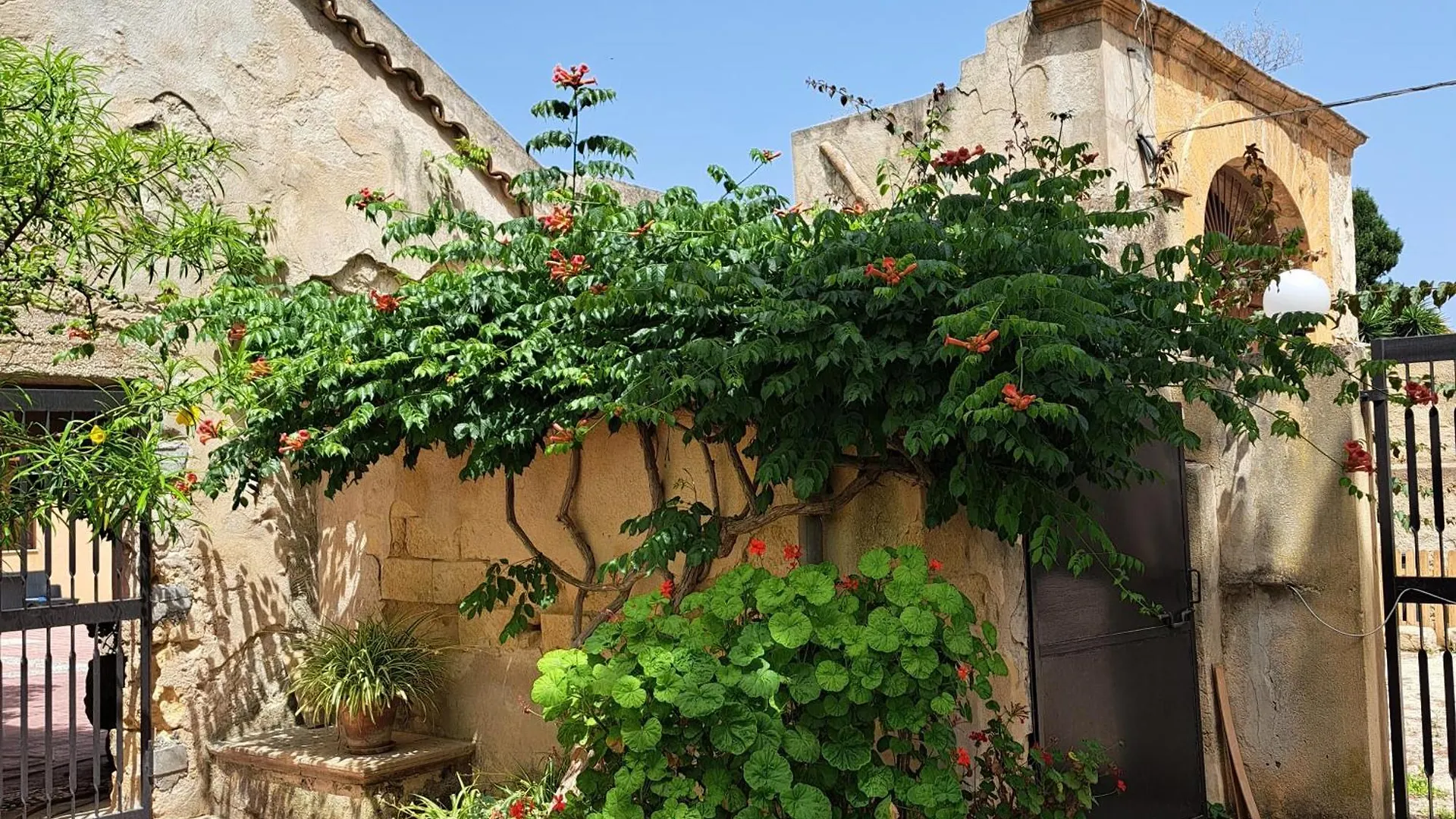 U Bagghiu Bed and Breakfast Paceco Italia