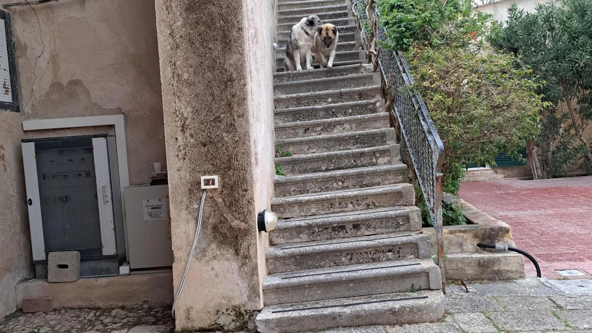U Bagghiu Bed and Breakfast Paceco Italia
