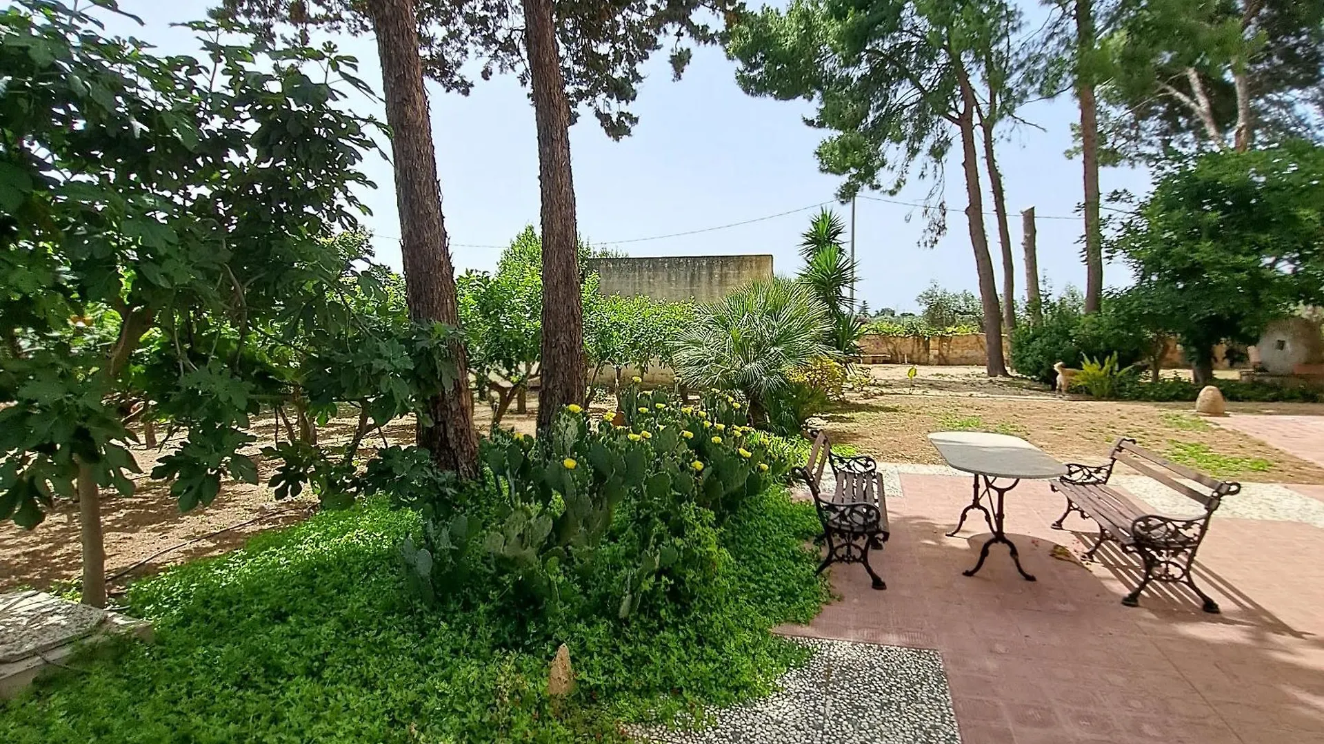 U Bagghiu Bed and Breakfast Paceco Bed & Breakfast